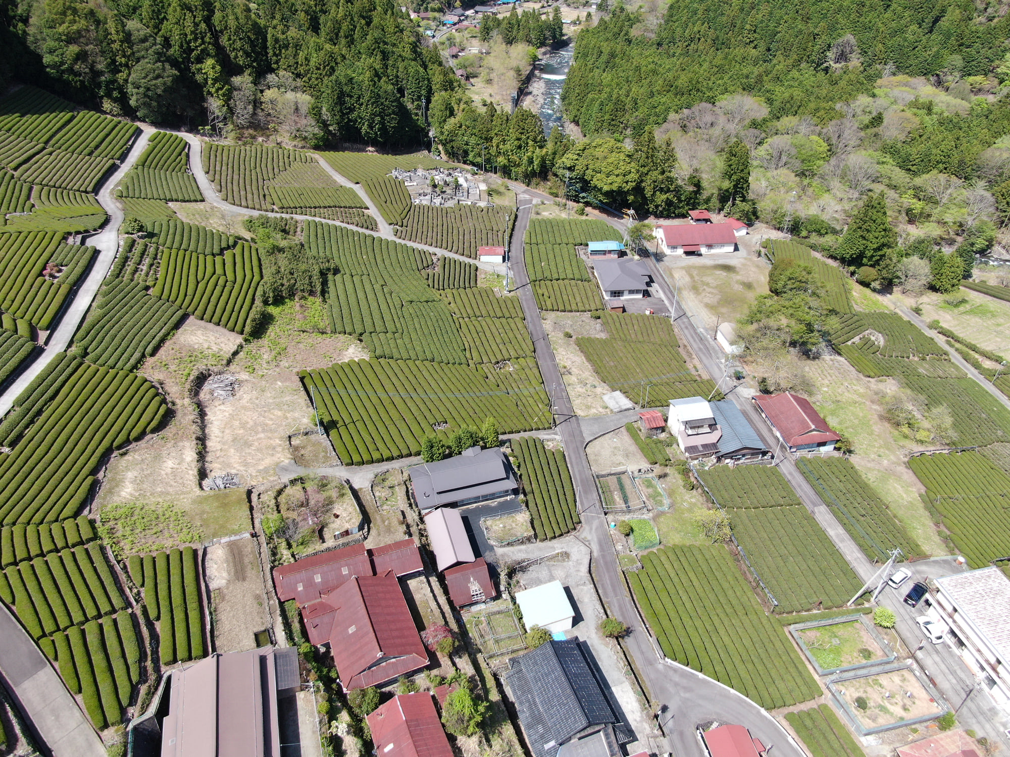 南部茶産地上空より