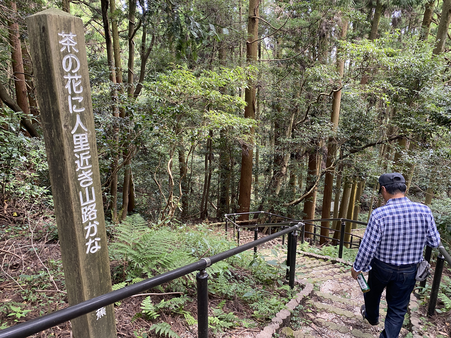 背振山栄西茶（多良農園）02